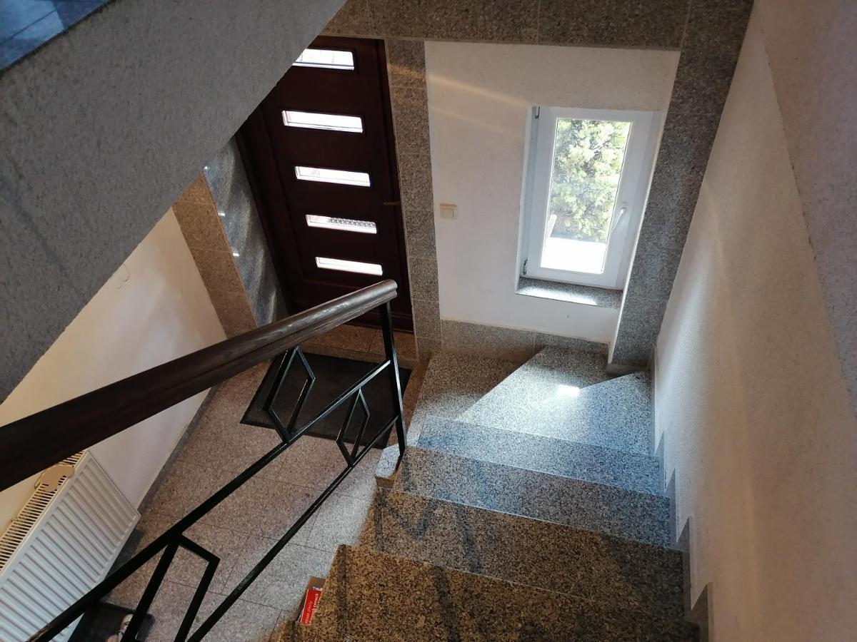 Pod Dzikowcem *